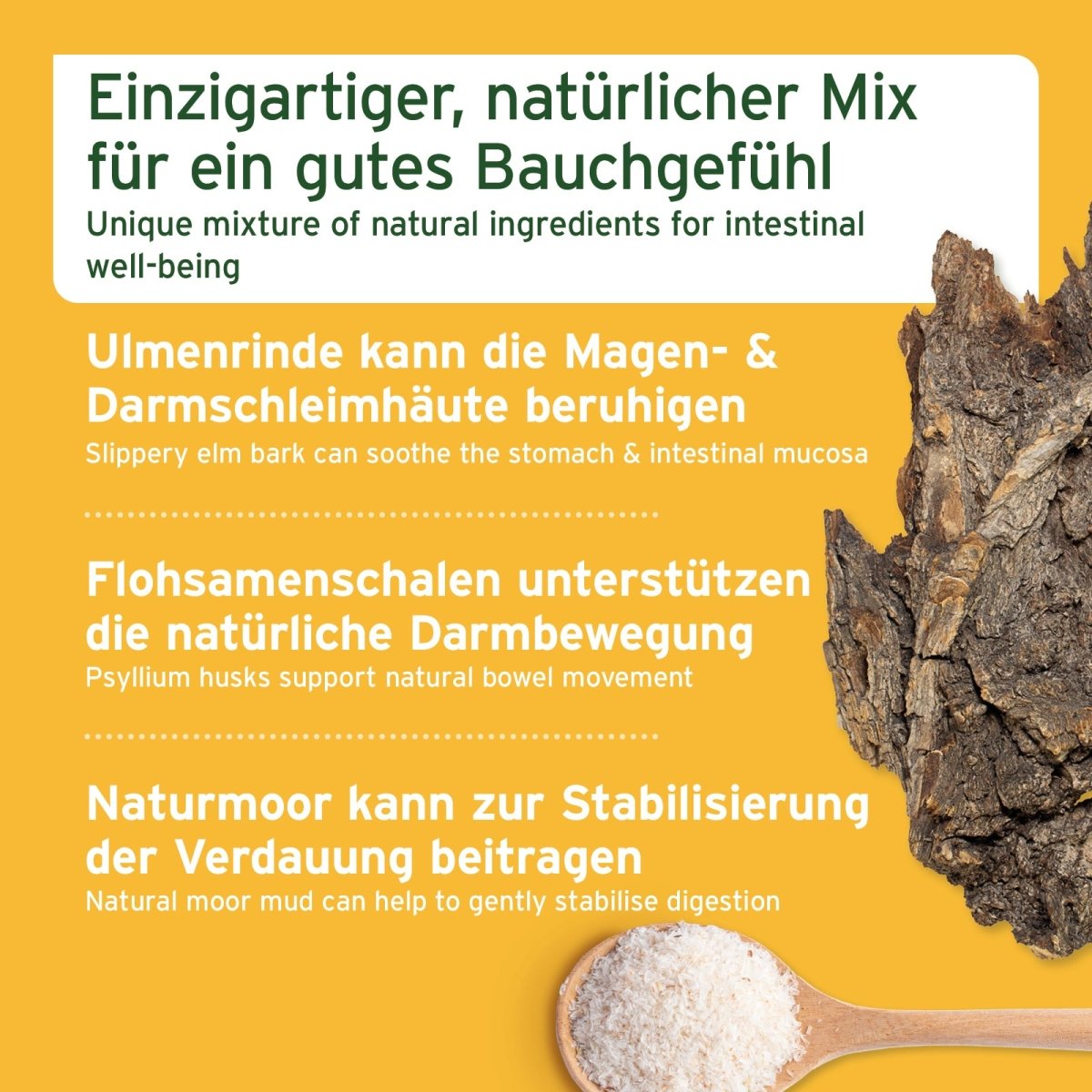 Ulmenrinde Liquid - AniForte