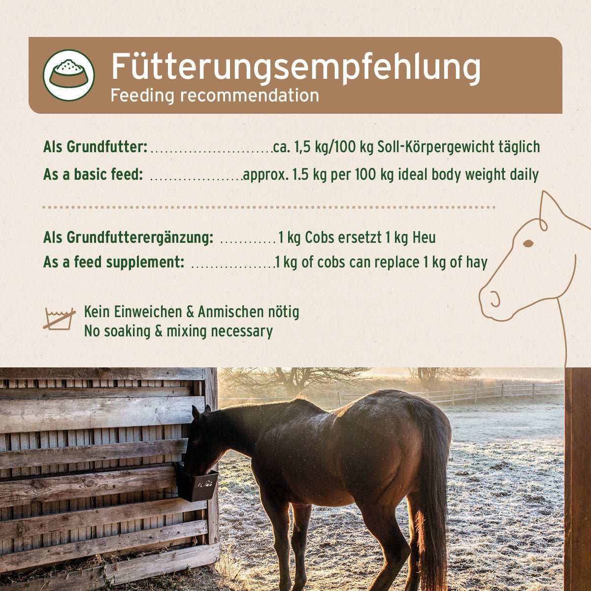 Pferd frisst AniForte Vitality Cobs Natur als Heuersatz, Fütterungsempfehlung im Hintergrund sichtbar.
