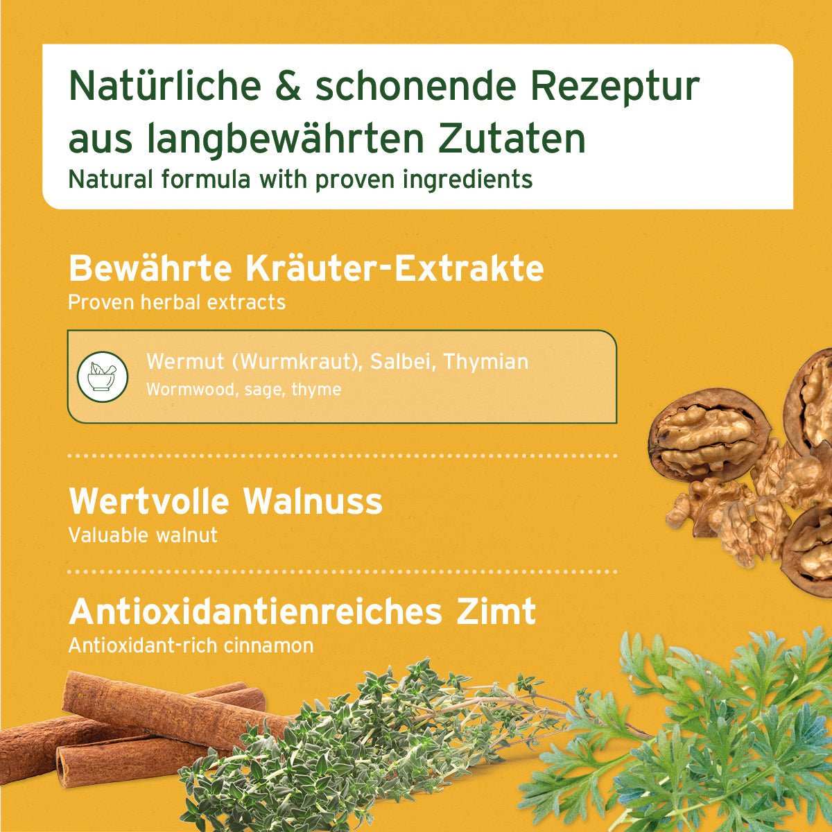 Natürliche Unterstützung für den Darm mit AniForte® W-Liquid aus Kräuter-Extrakten, Walnuss und Zimt.