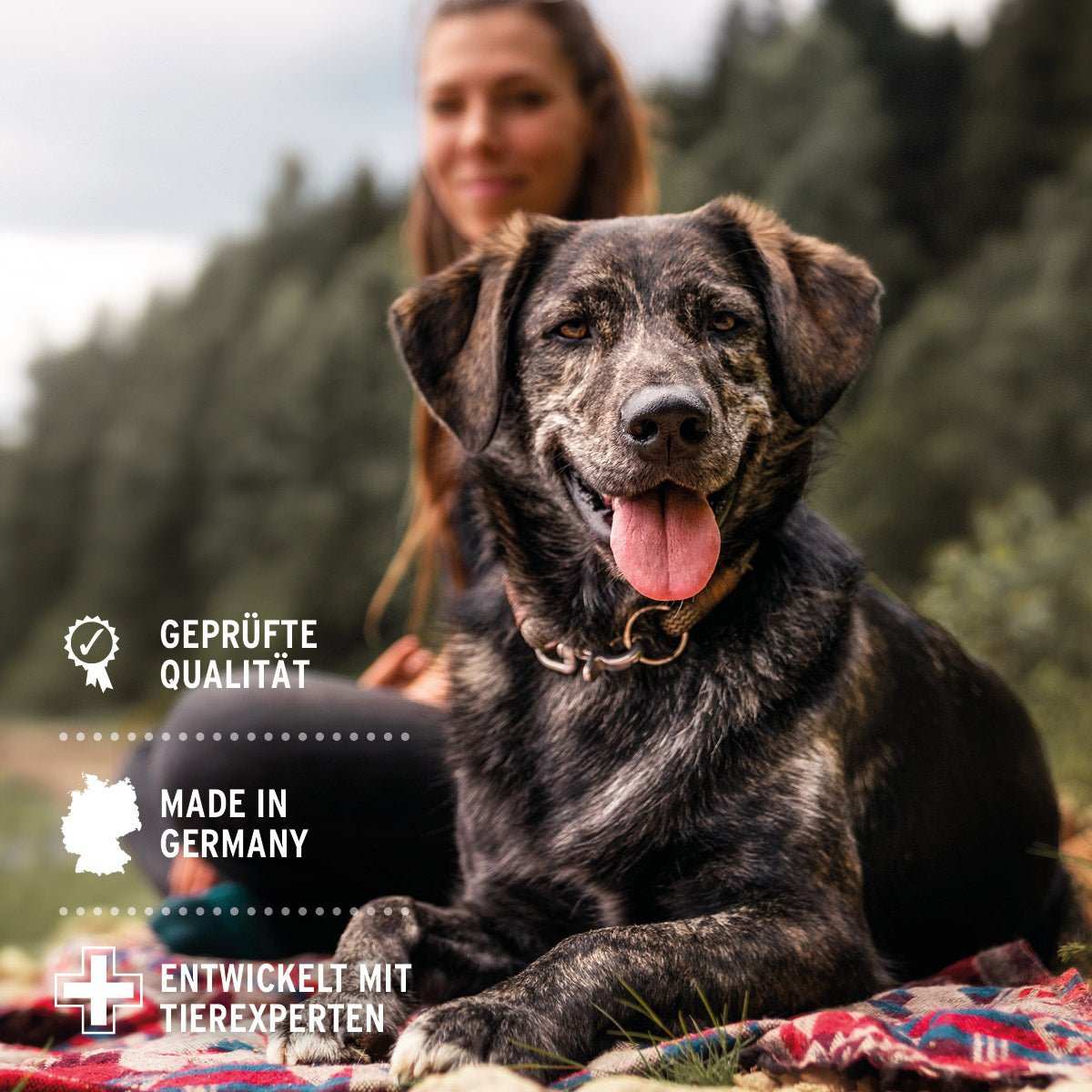 Natürliche Unterstützung für Hunde und Katzen: AniForte® W-Liquid mit gereinigtem Thymian- und Salbei-Extrakt, entwickelt mit Tierexperten in Deutschland.