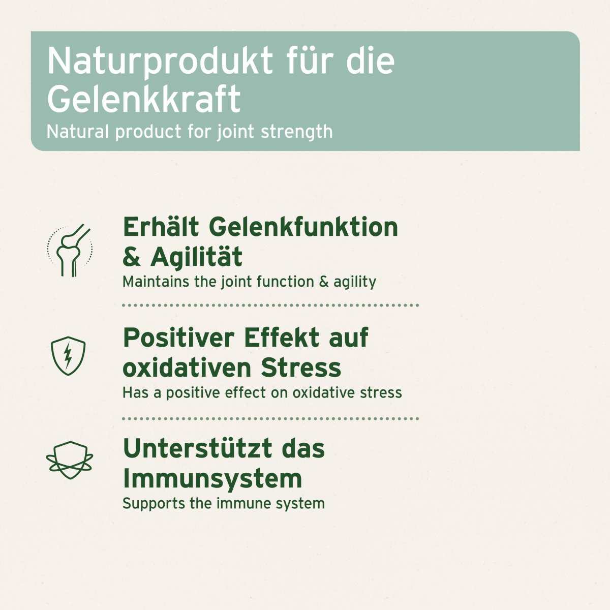 Informationsgrafik Natürliche Weidenrinde für Pferde zur Unterstützung von Gelenkfunktion, Agilität, oxidativem Stress und Immunsystem.
