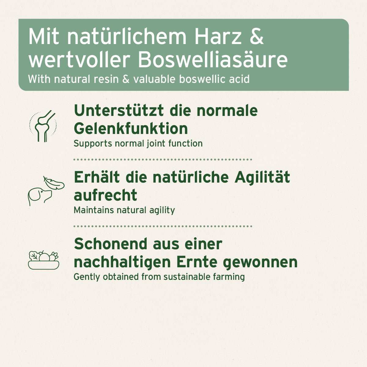 Informationen zu Weihrauch Kapseln für Hunde mit natürlichem Harz und Boswelliasäure, unterstützt Gelenkfunktion und Agilität.