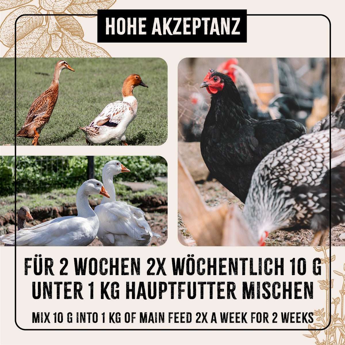 FarmLife WermiX für Geflügel, Kräutermischung zur Unterstützung nach Wurmbefall, Hühner im Freien, natürliche Inhaltsstoffe.