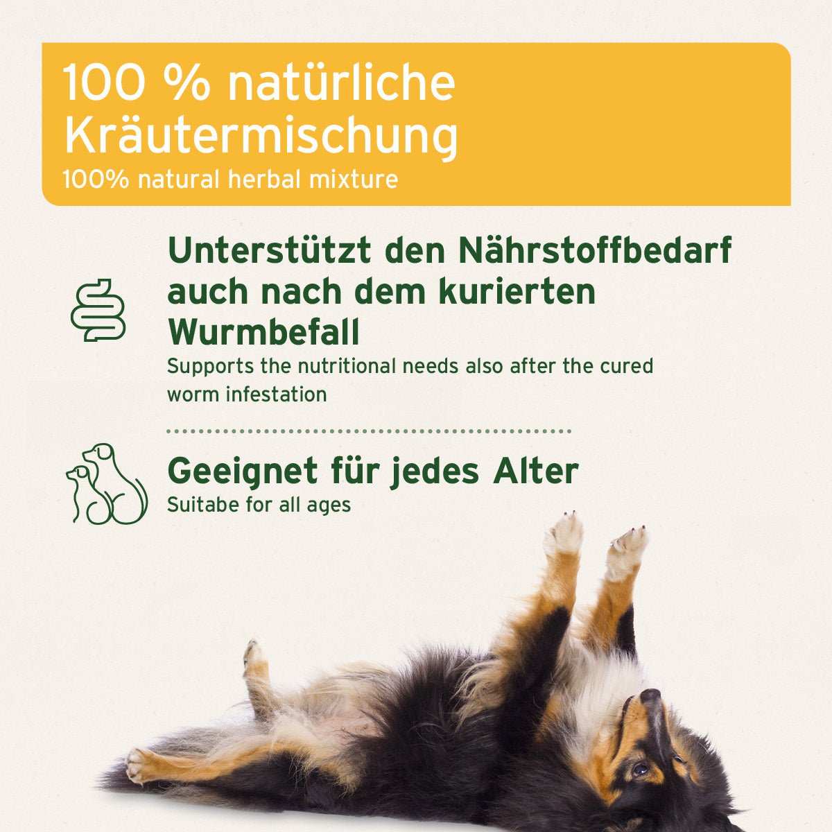 Hund liegt auf dem Rücken, 100 % natürliche Kräutermischung für Hunde; unterstützt den Nährstoffbedarf nach Wurmbefall; geeignet für alle Altersstufen.