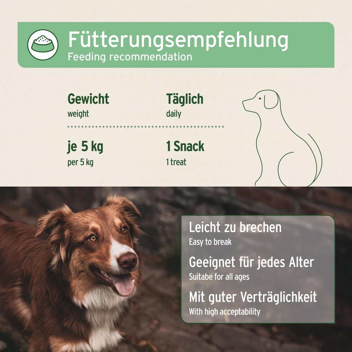 Fütterungsempfehlung für AniForte® Z-Season Snack. Bräunlicher Hund schaut freundlich in die Kamera.