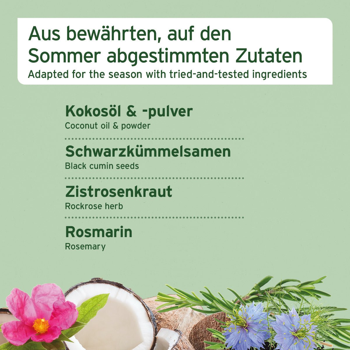 AniForte® Z-Season Snack mit Kokosöl, Schwarzkümmelsamen, Zistrosenkraut und Rosmarin für Hunde