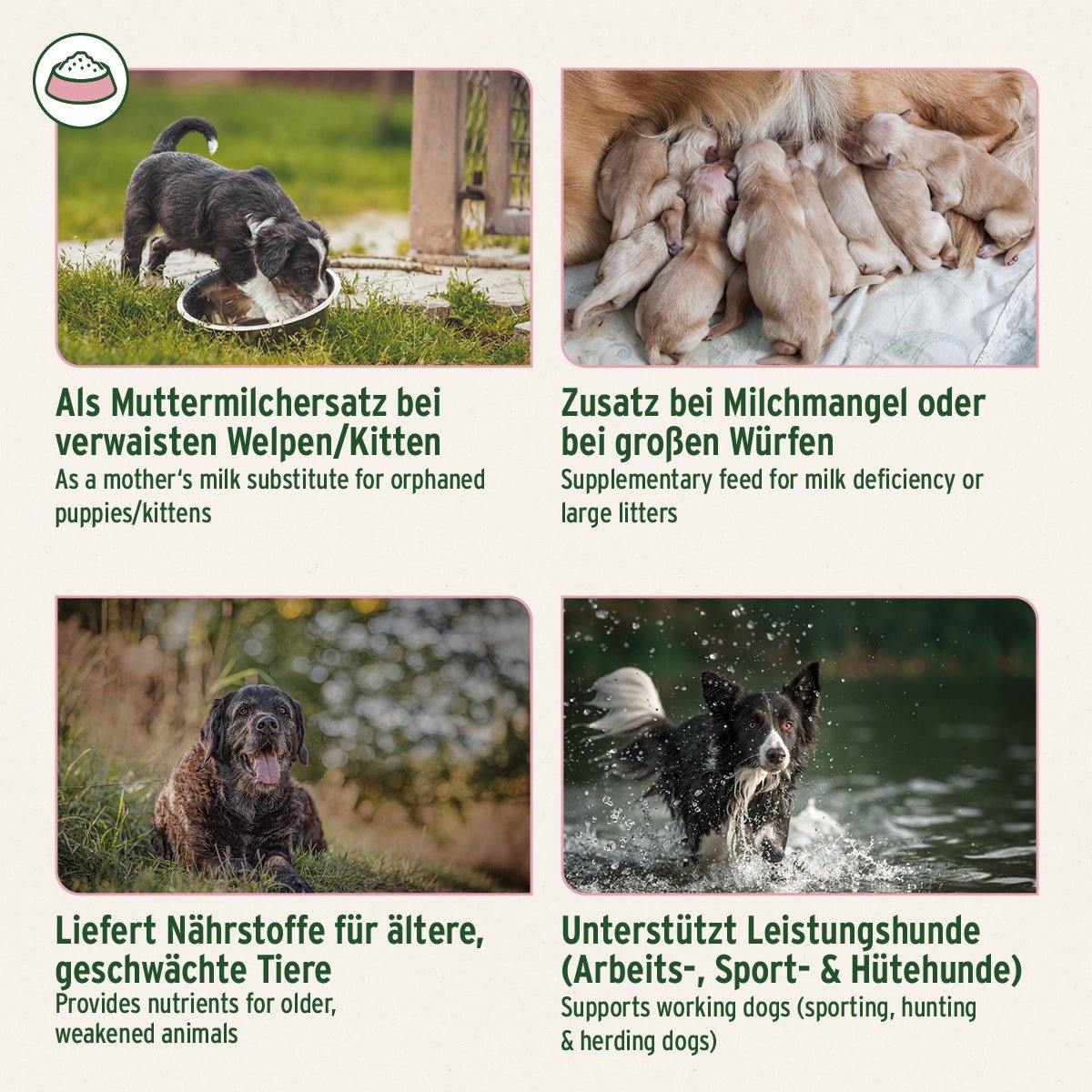 AniForte® Ziegenmilch Pulver für Hunde und Katzen, natürlich und leicht verdaulich