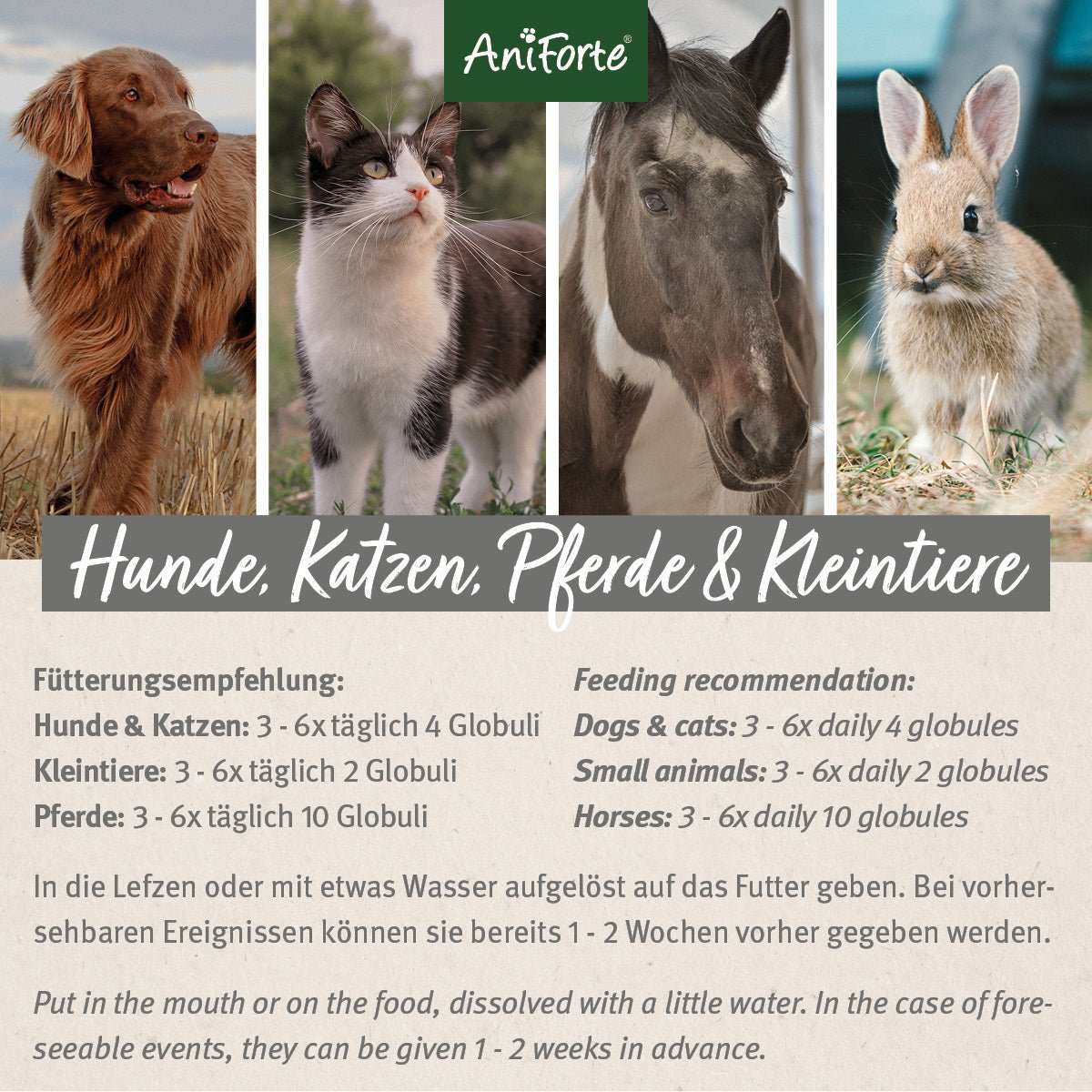 Fütterungsempfehlung Bachblüten Wohlfühl - AniForte. Mit abgebildetem Hund, Katze, Pferd und Kaninchen.