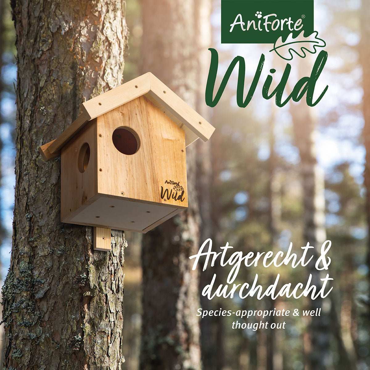 Eichhörnchenkobel aus Holz, sicher am Baum befestigt, geeignet für den Garten und Balkon.