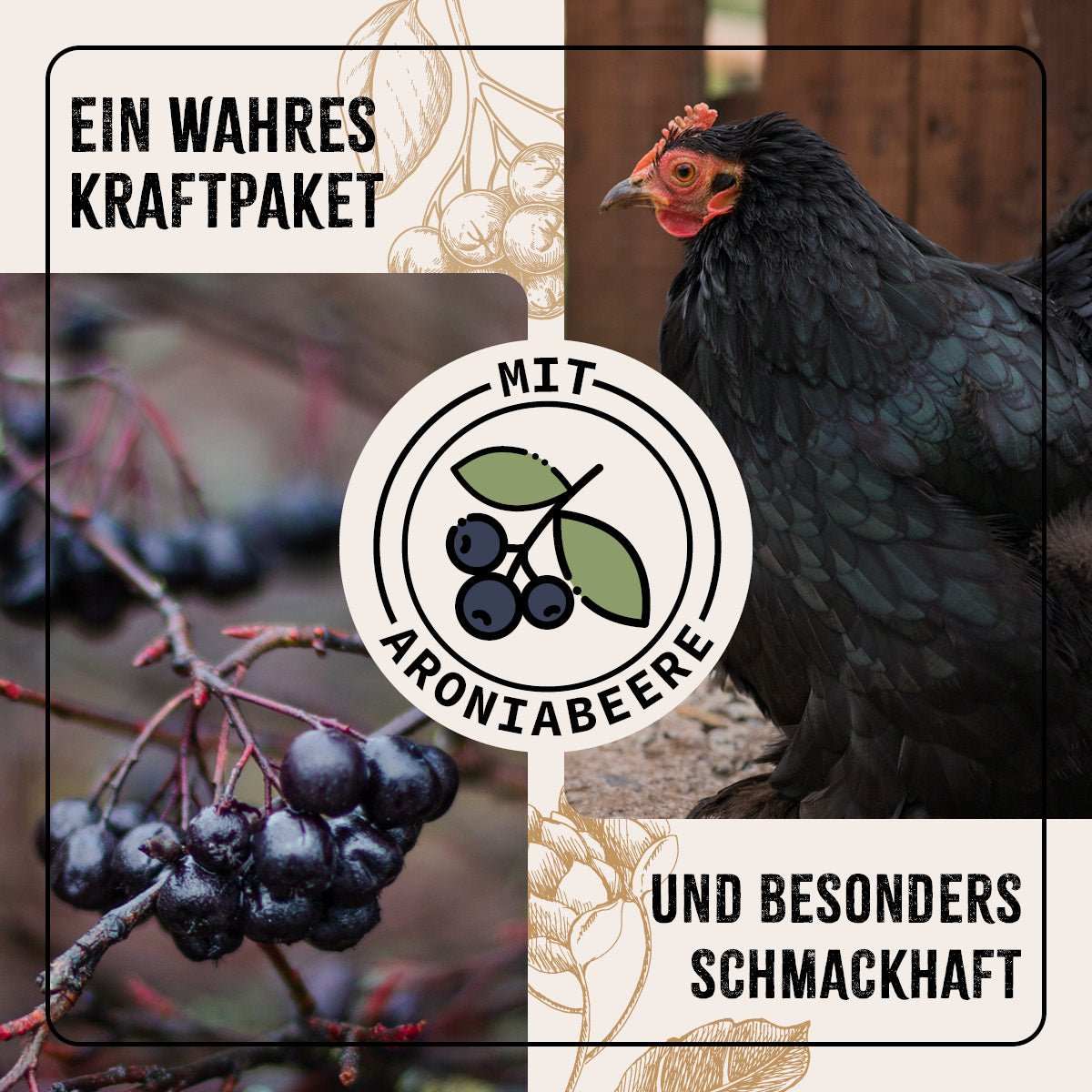 Aroniabeere und dunkles Huhn.