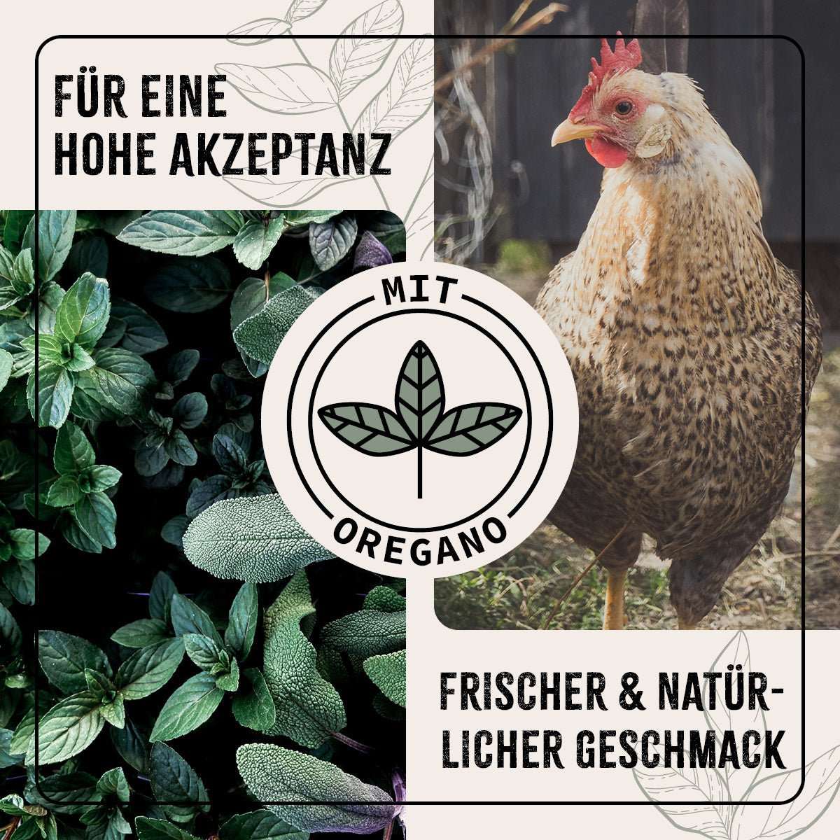 Huhn und Oregano.