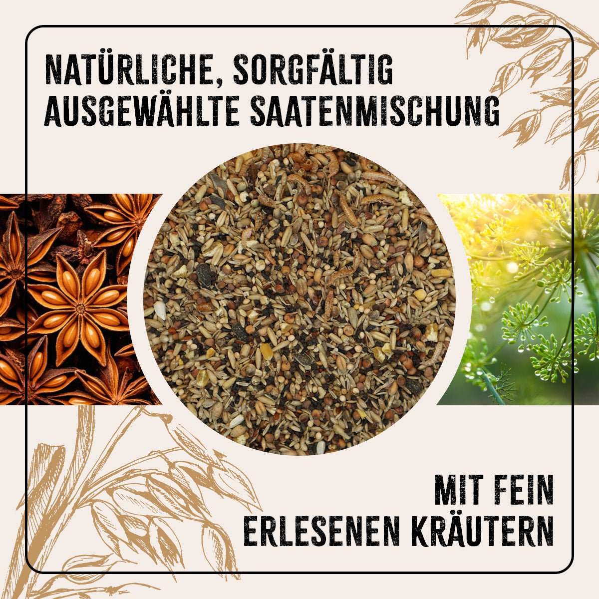Natürliche Saatenmischung mit Kräutern für Hühner, AniForte® FarmLife Hühnertraum Zusatzfutter.