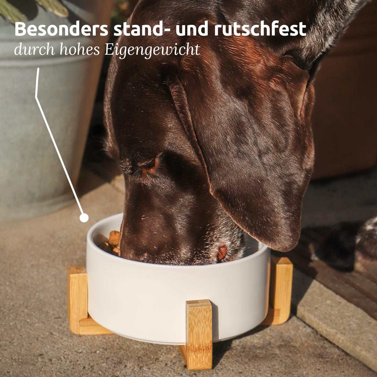 Futternapf aus Keramik und Bambus, verwendet von einem Hund, rutschfest und spülmaschinenfest.