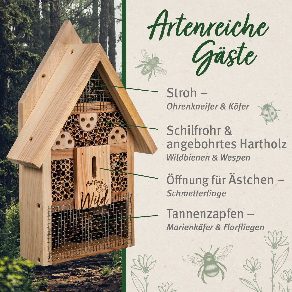 Insektenhotel aus Holz mit Lockstoff für Bienen, Wespen, Schmetterlinge, Käfer und Florfliegen im Garten.