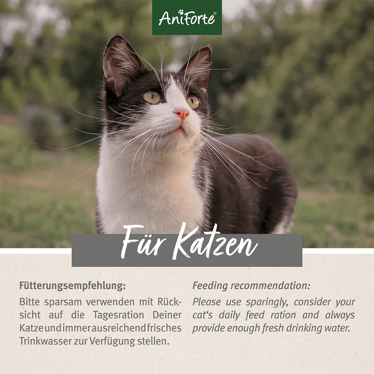 Katzen Snacks Huhn & Lachs - AniForte