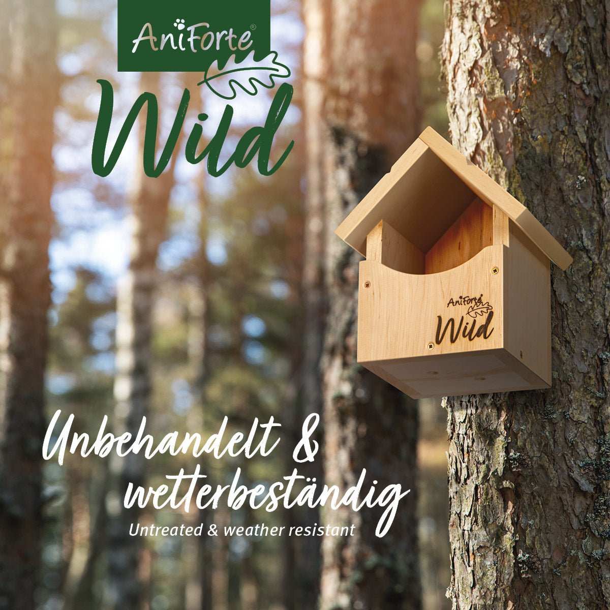 Nistkasten für Rotkehlchen aus unbehandeltem, wetterbeständigem Holz von AniForte® Wild im Wald.
