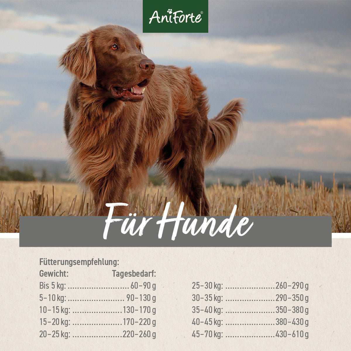 Glutenfreies Trockenfutter für Hunde mit feinem Huhn, Reis und Karotten.
