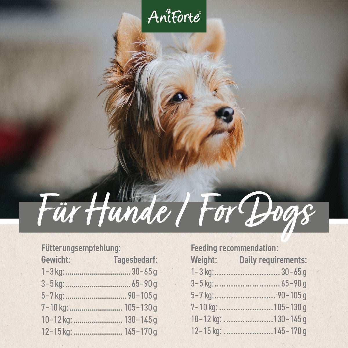 Trockenfutter Rind Mini für kleine Hunde, AniForte, Verpackung mit Yorkshire Terrier, Fütterungsempfehlung.