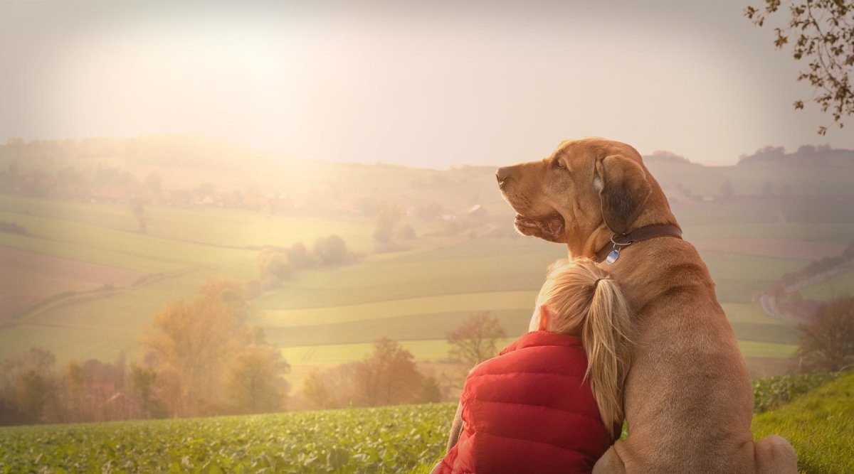 Welcher Hund passt zu mir? - AniForte