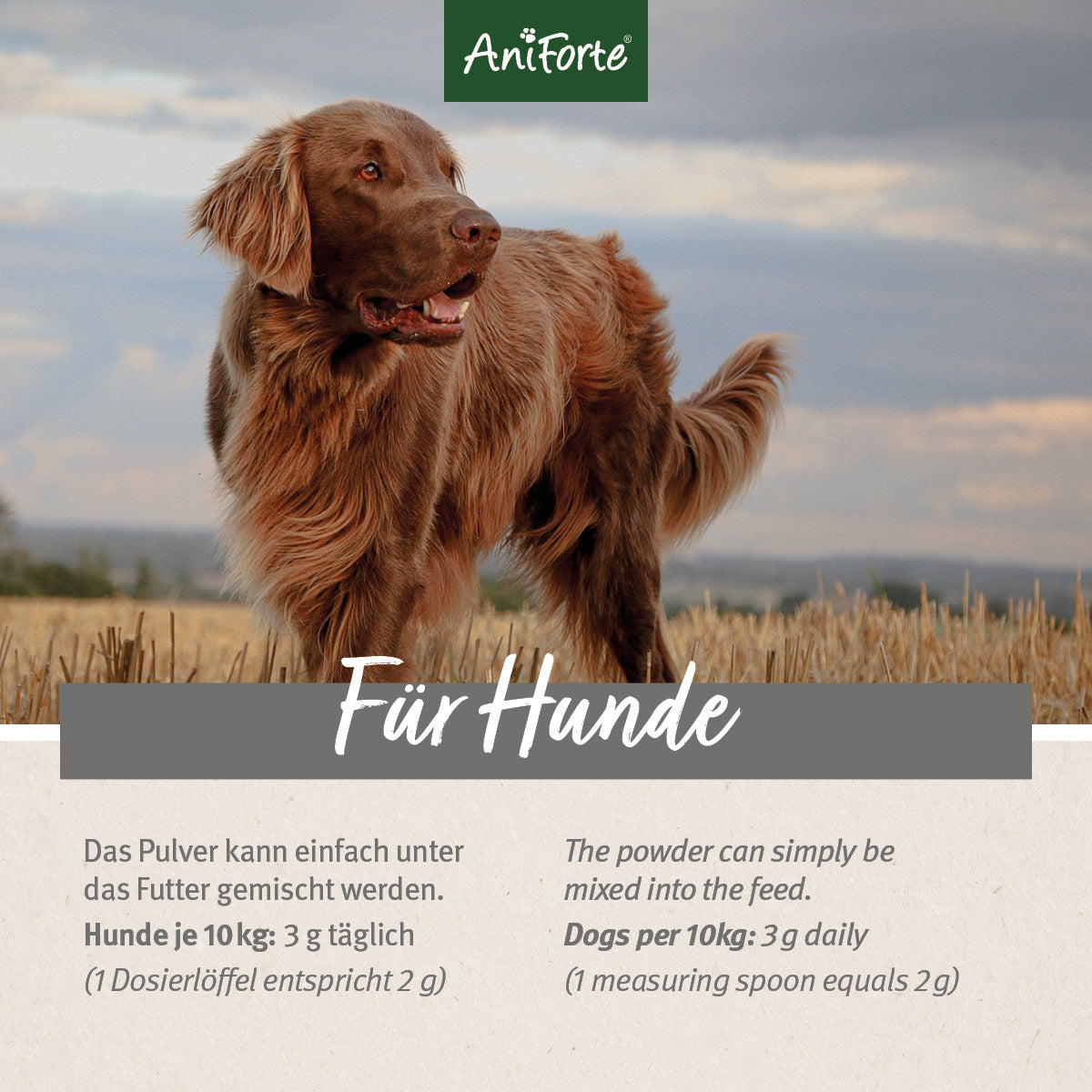 4in1 Complete Dog