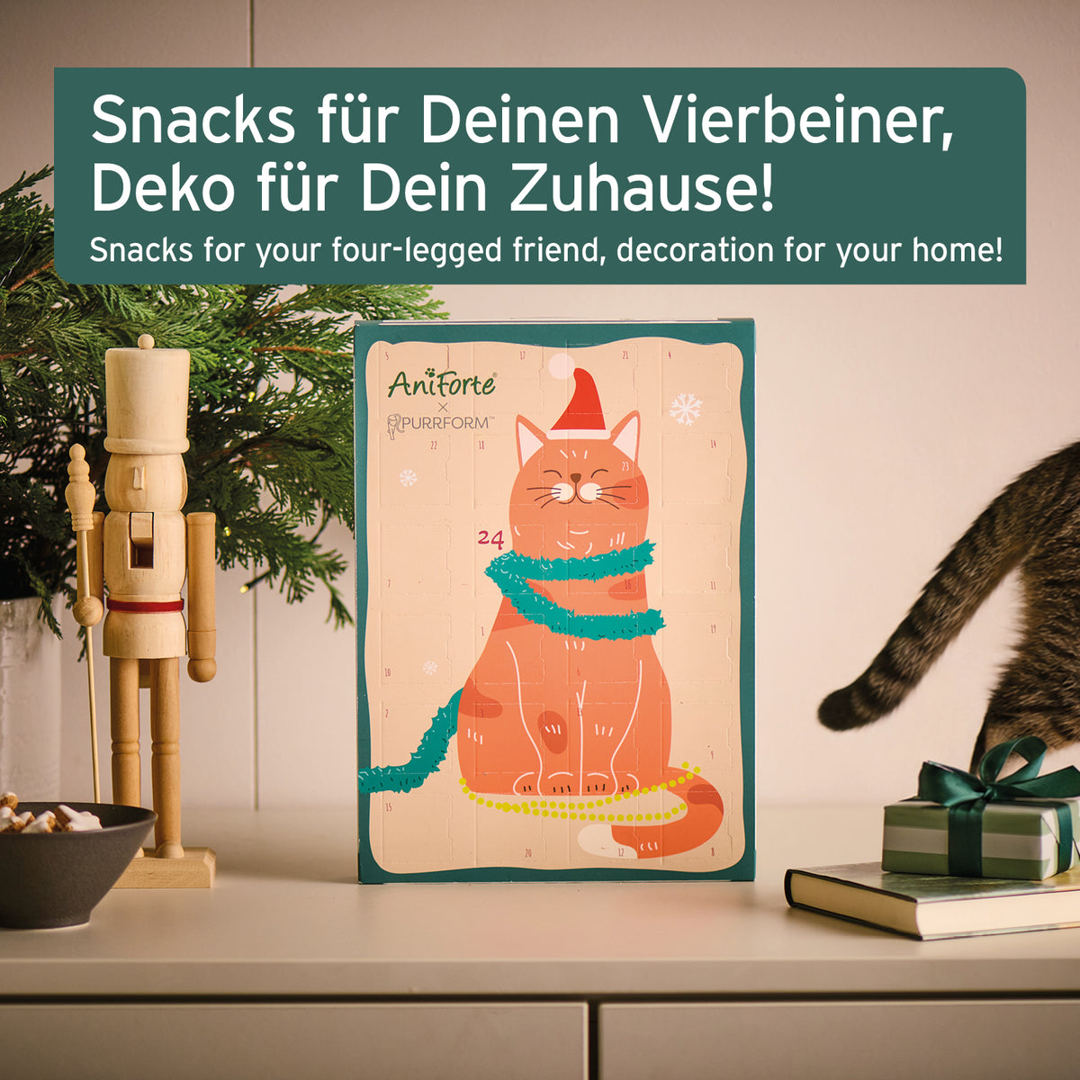 Adventskalender 2026 für Katzen