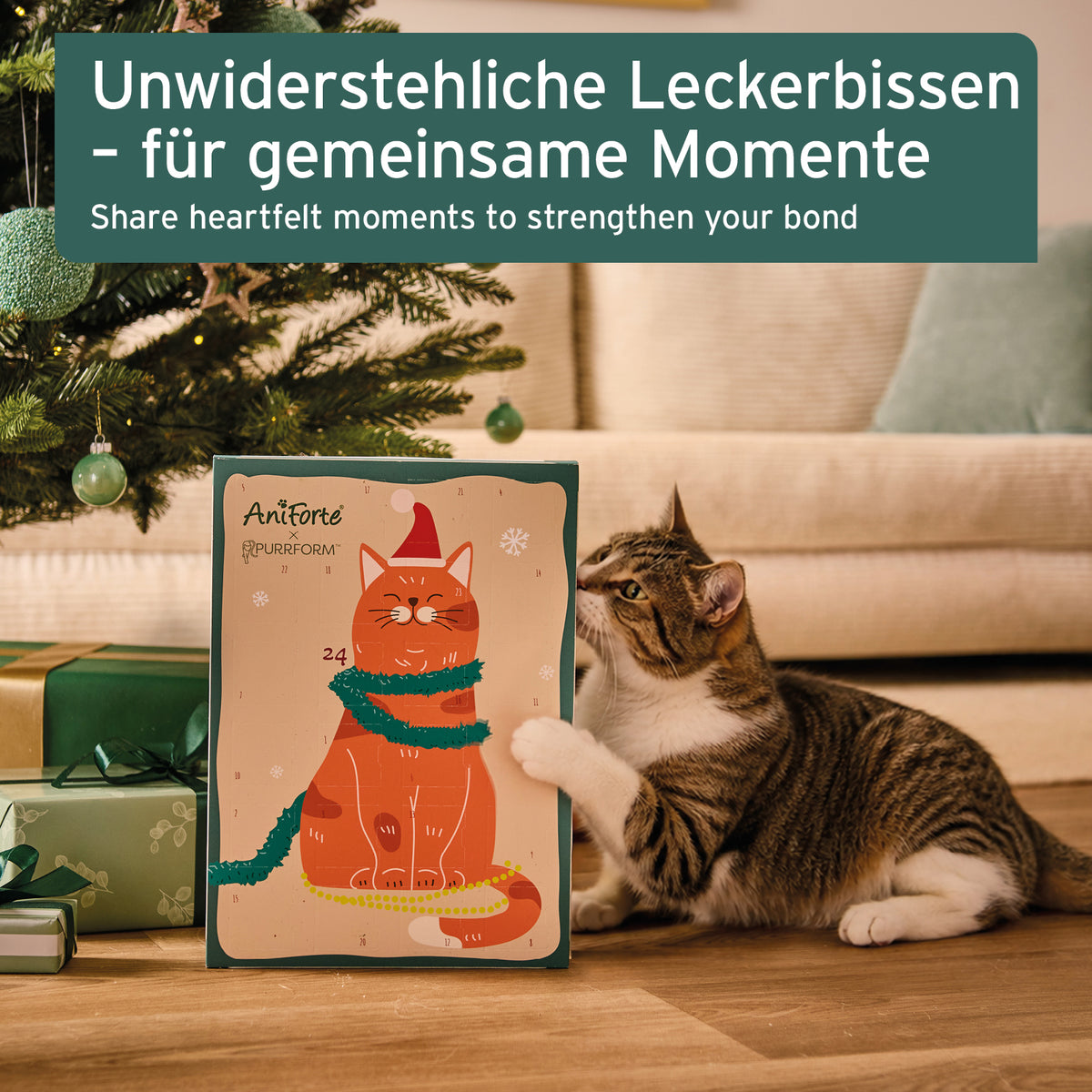 Advent calendar 2023 for cats