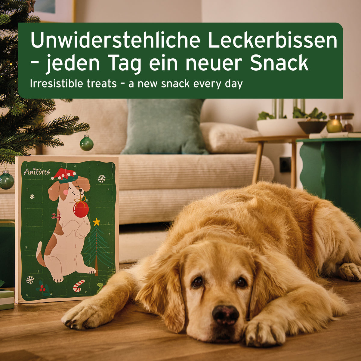 Advent calendar 2023 for dogs
