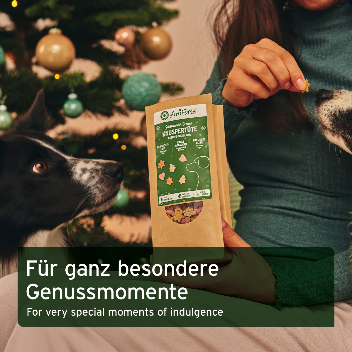 Festtags-Knuspertüte