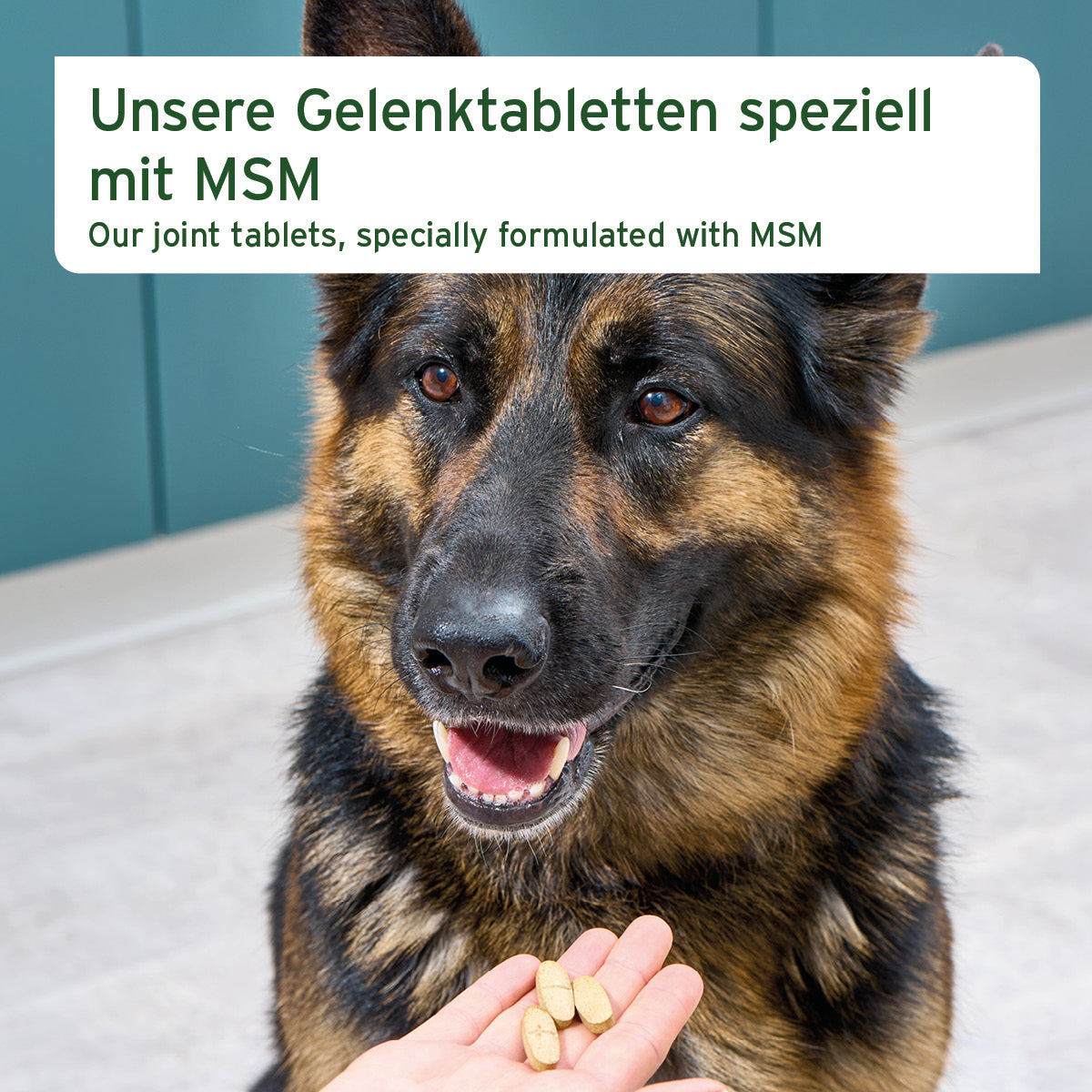Gelenktabletten mit MSM