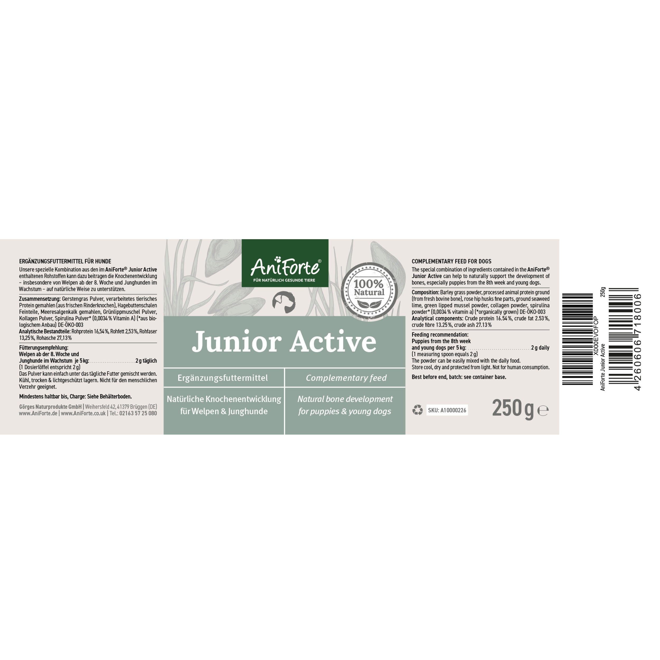 Junior Active