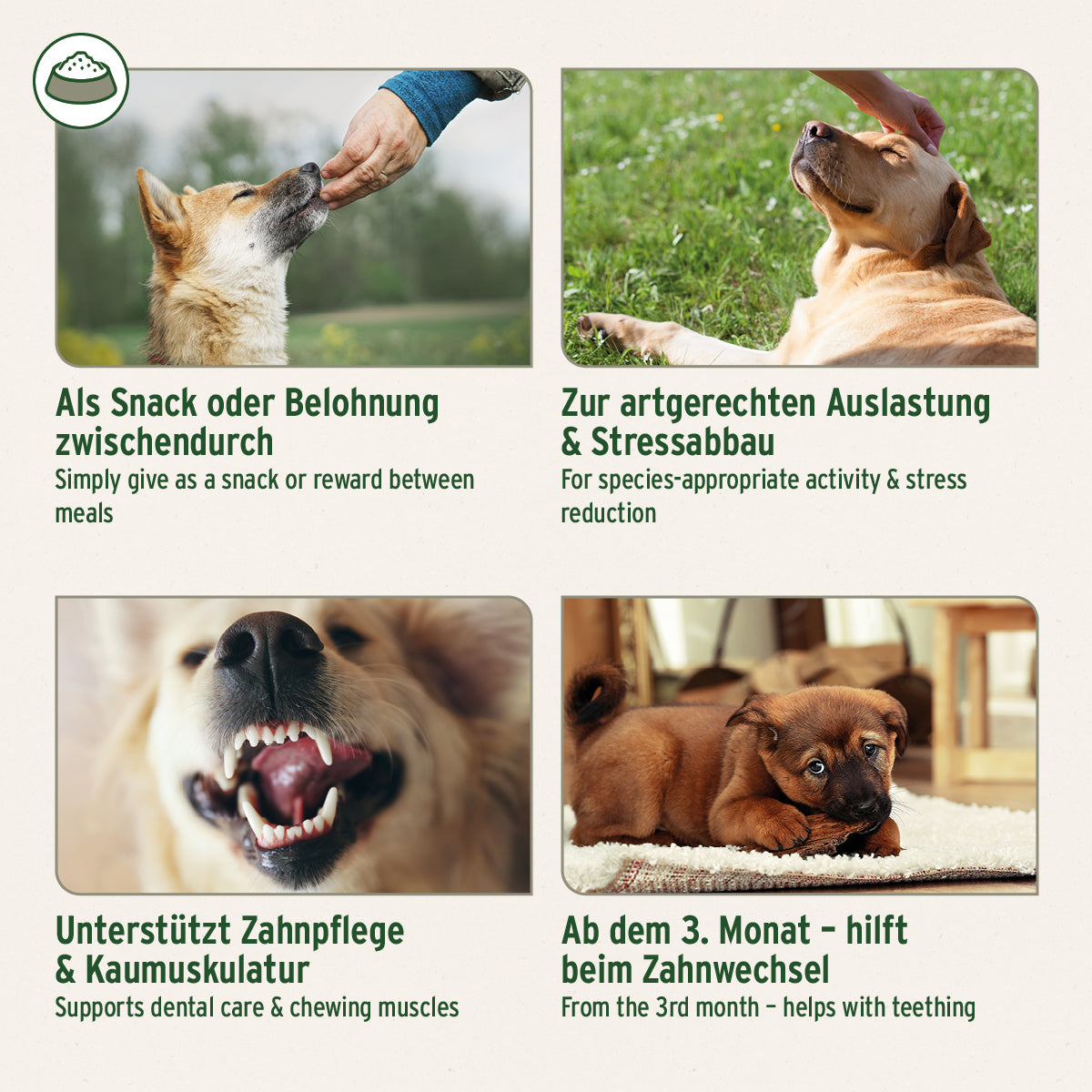 Kaninchenohren mit Fell