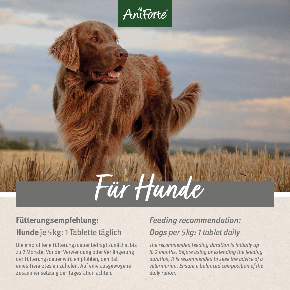 AniForte® plus Fell & Haut