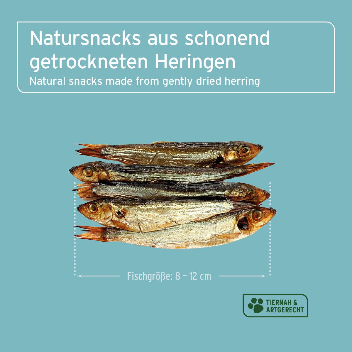 Trockenfisch