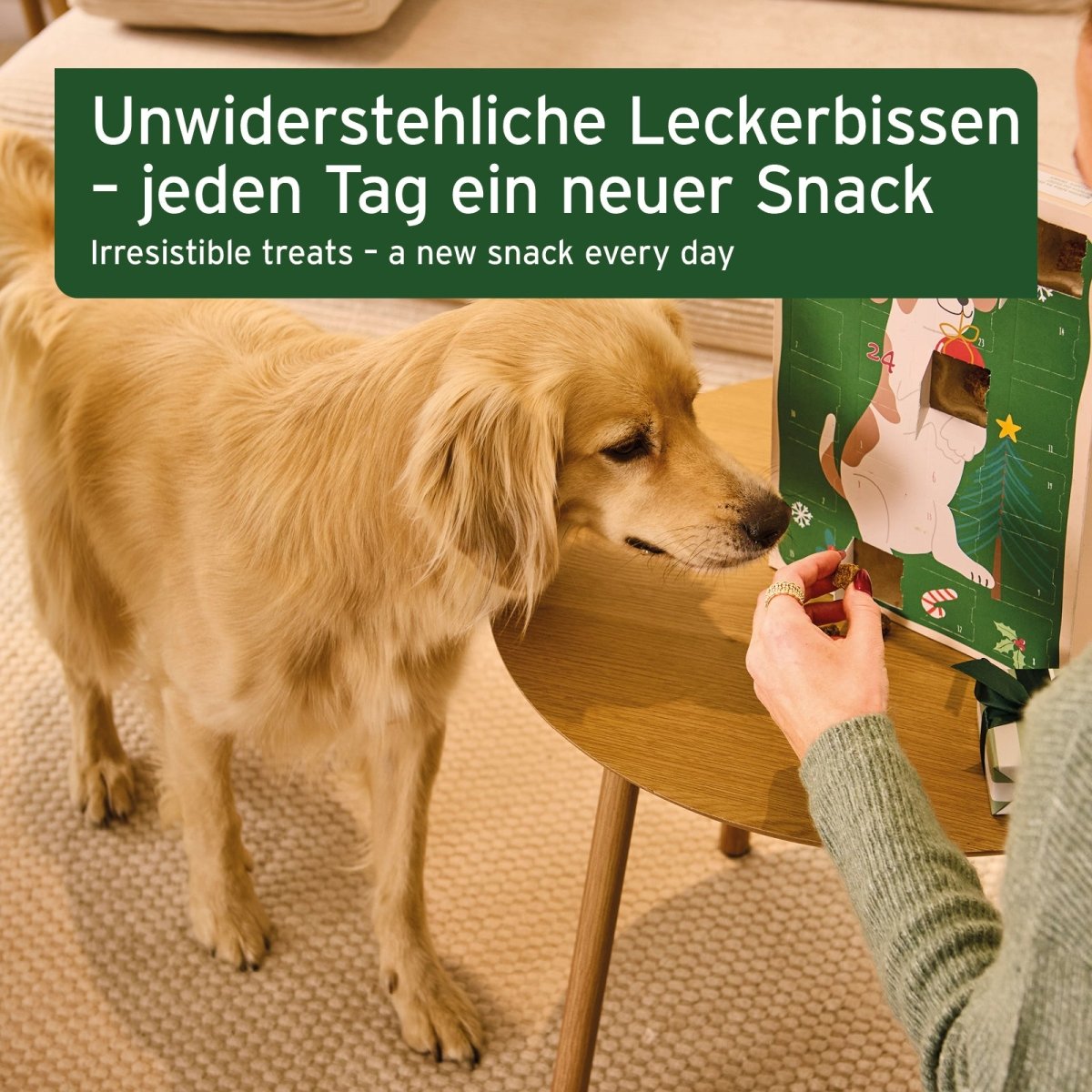 Adventskalender 2026 für Hunde - AniForte