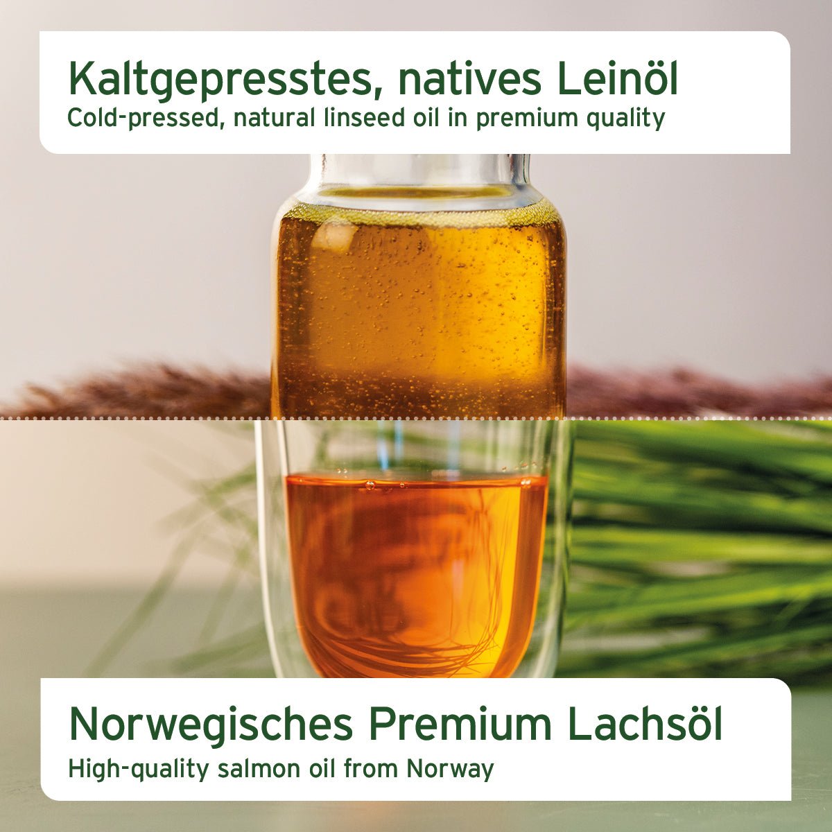 BARF - Öl Set mit Leinöl & Lachsöl - AniForte