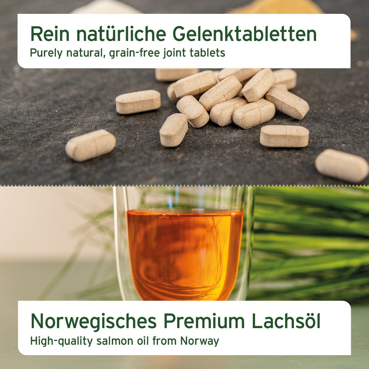 Beweglichkeit & Vitalität in 1 - AniForte