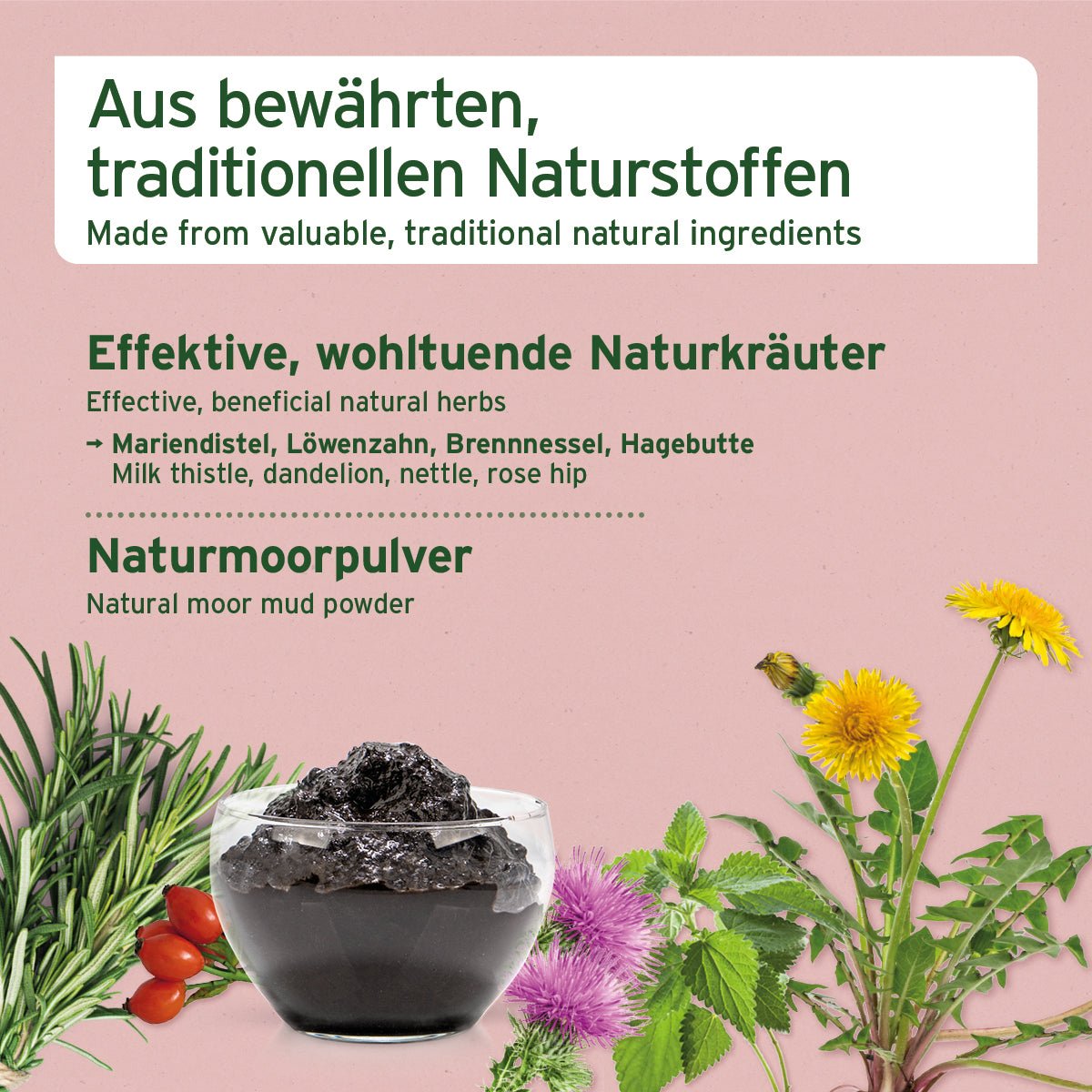 Detox-Snack - AniForte