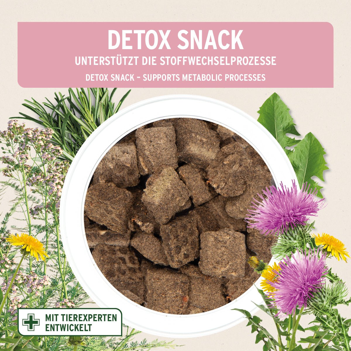 Detox-Snack - AniForte