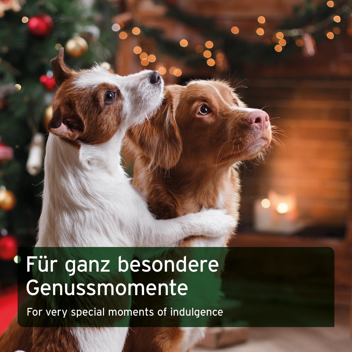 Festtags-Knuspertüte - AniForte