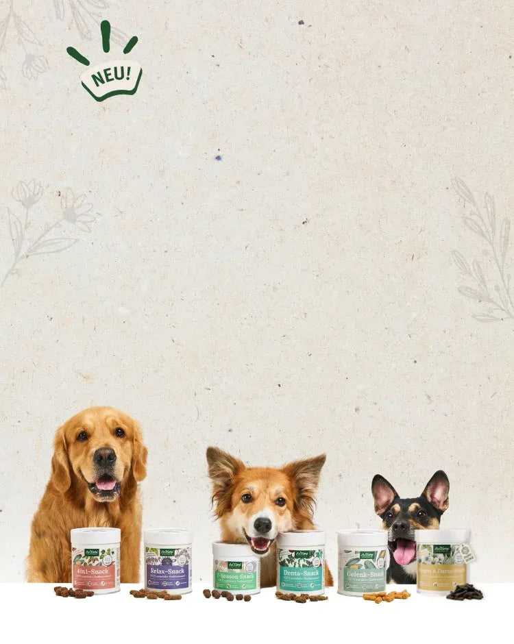 AniForte: Natürliche Tiernahrung & Tierbedarf für Hunde & Co.