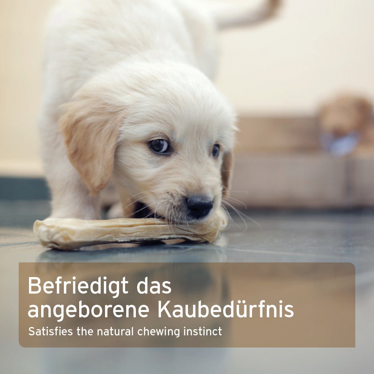 Kaninchenohren mit Fell - AniForte