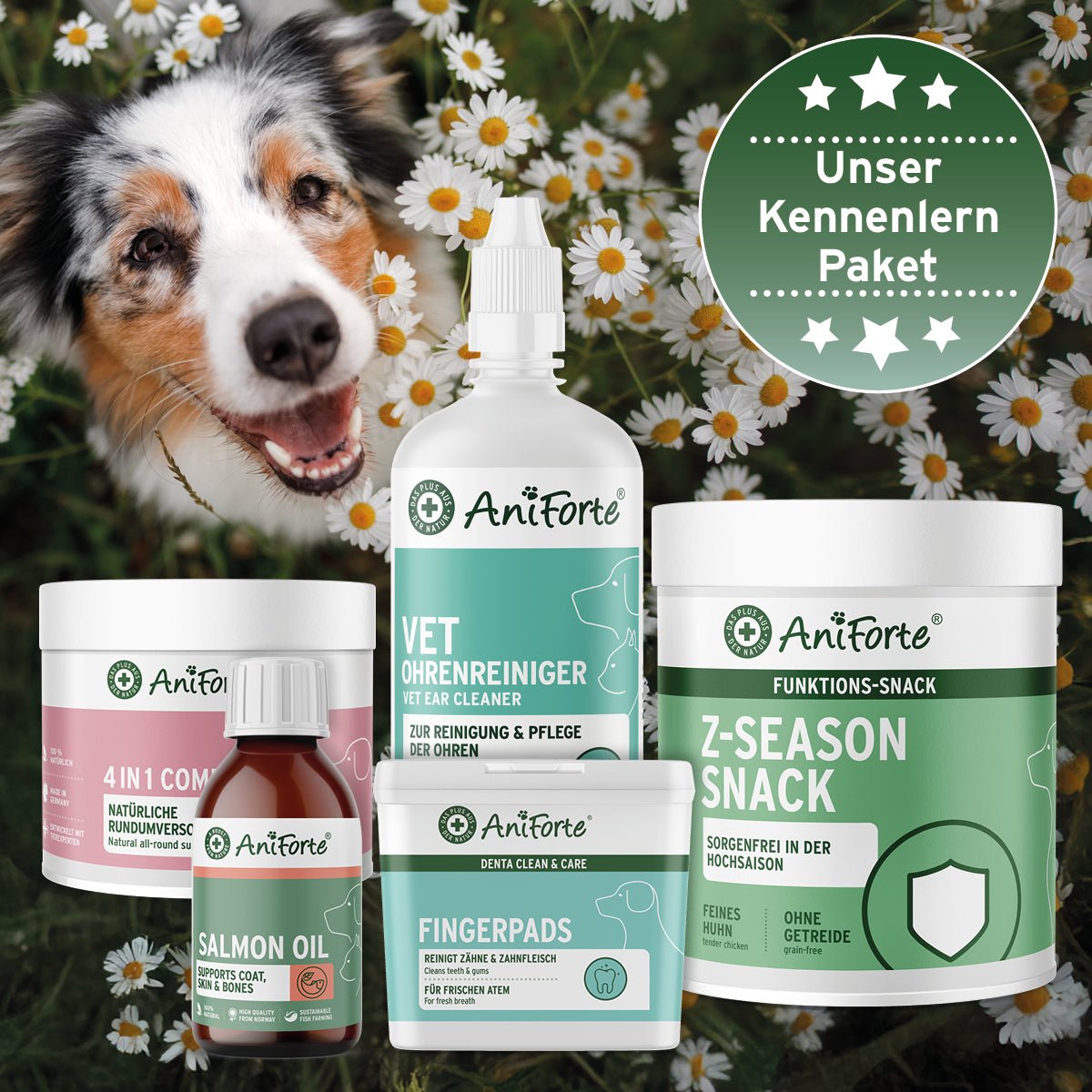 Kennenlernpaket für Hunde - AniForte
