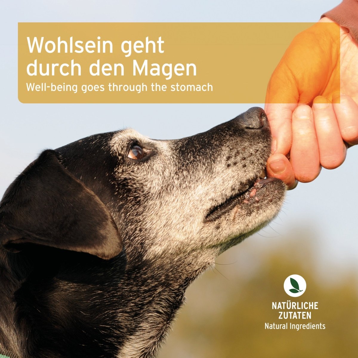 Magen & Darm Snack - AniForte