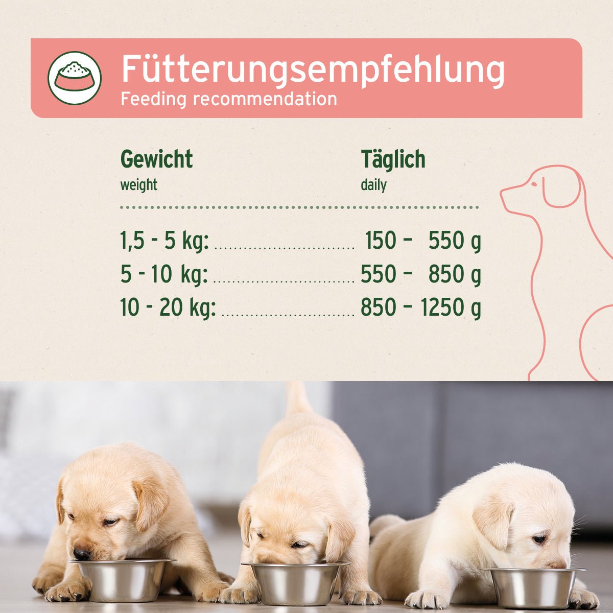 Nassfutter Junior Menu Beef – "Rind mit Süßkartoffeln" - AniForte