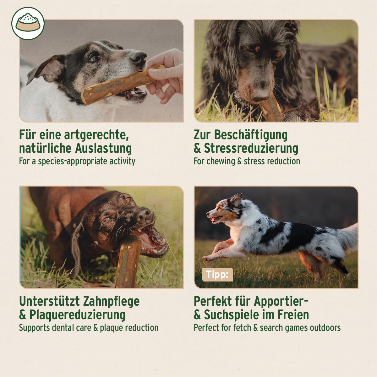 Olivenholz Kauknochen - AniForte