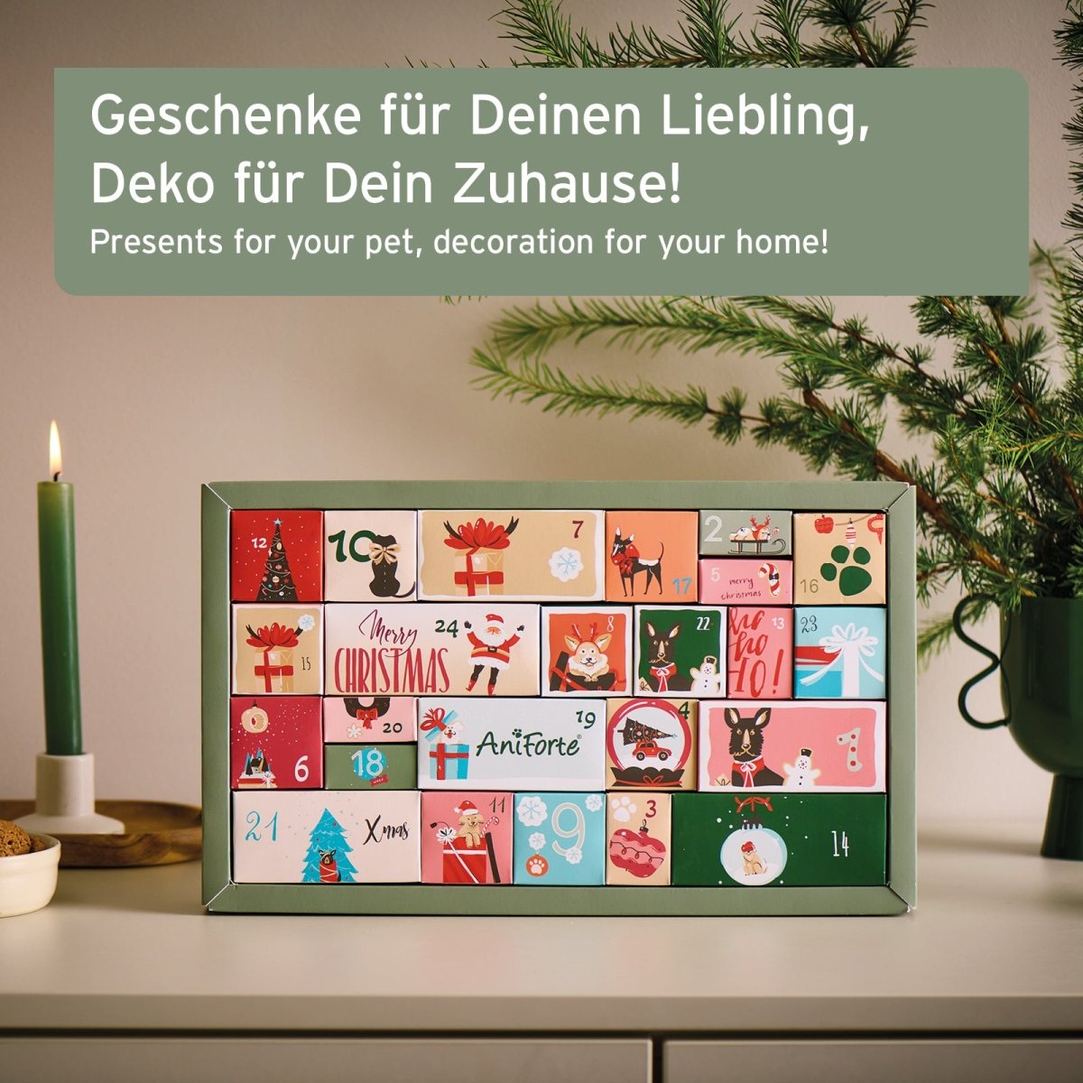 Premium Adventskalender für Hunde - AniForte