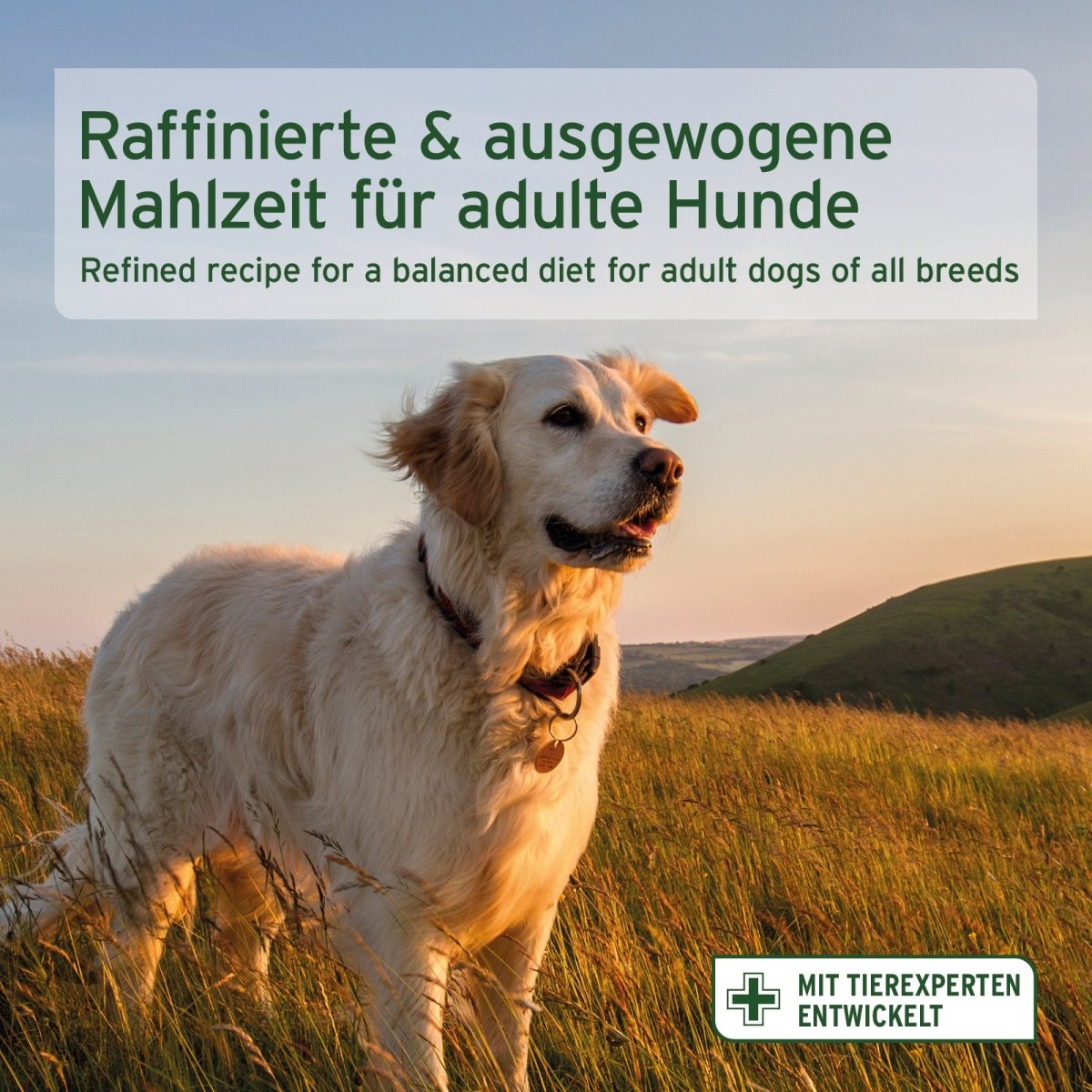 Trockenfutter FreelandDuck – Leckere Ente mit Hirse - AniForte