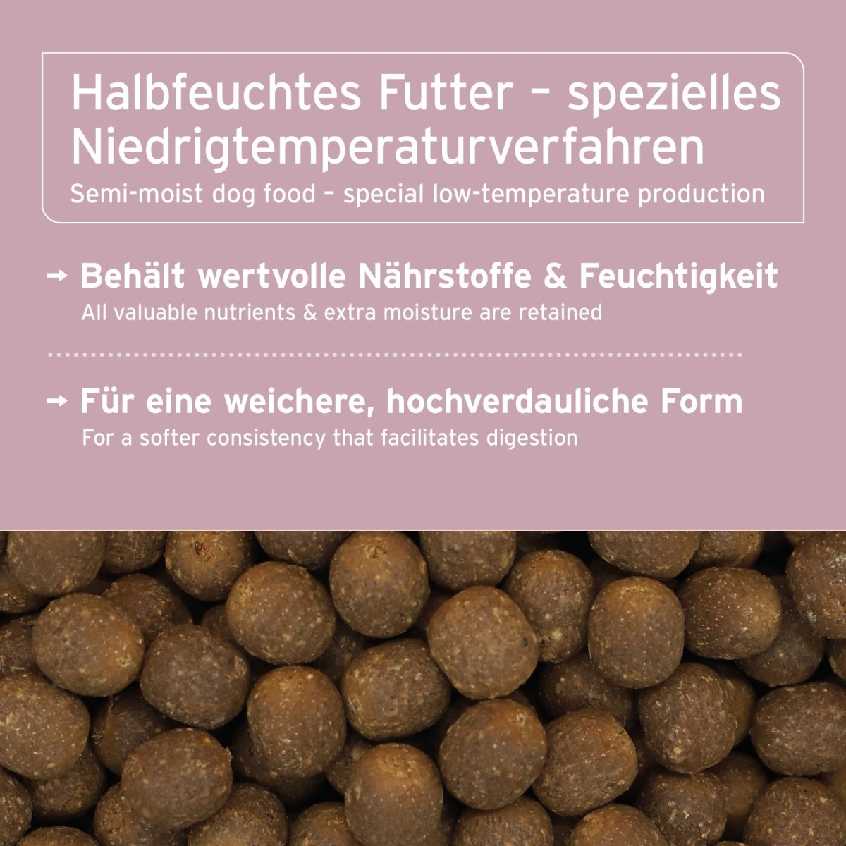 Trockenfutter FreelandDuck – Leckere Ente mit Hirse - AniForte