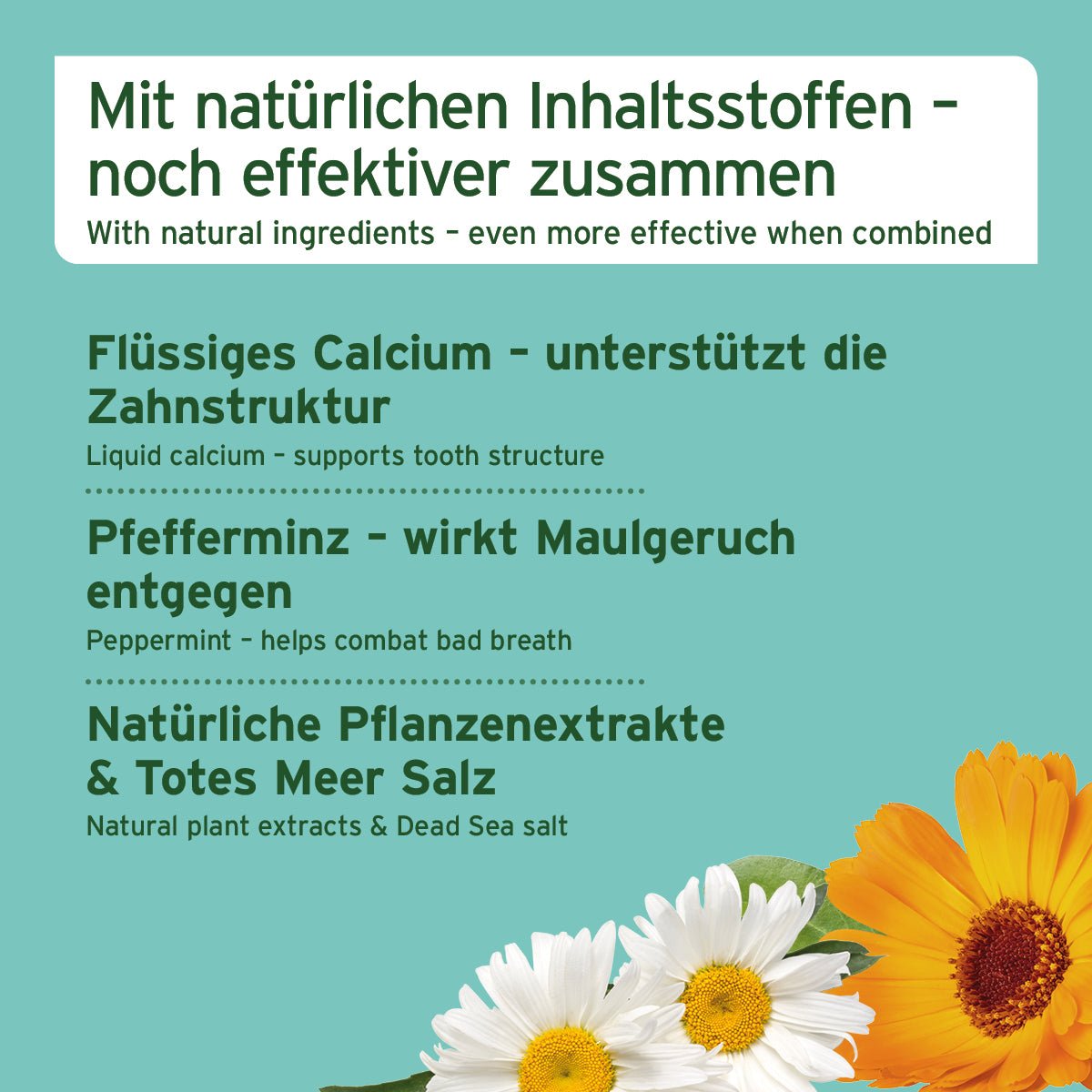 Zahnpflege Set - AniForte