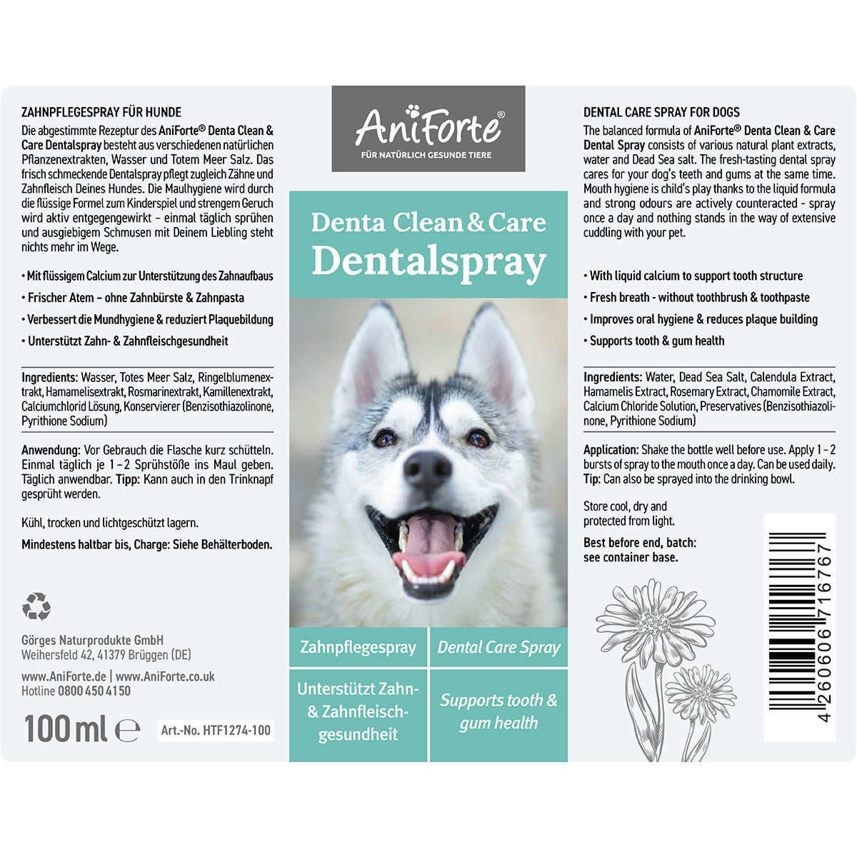 Zahnpflege Set für Deinen Hund kaufen